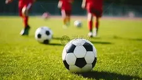 神殿娱乐 产品 075206 yra