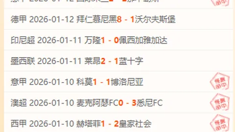 巴洛特利成焦點之谜：揭秘那场赛事独特之处